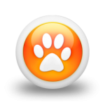104983-3d-glossy-orange-orb-icon-animals-animal-cat-print